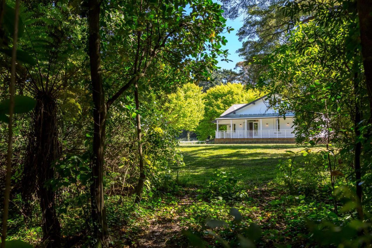 Pirinoa The Forest House מראה חיצוני תמונה