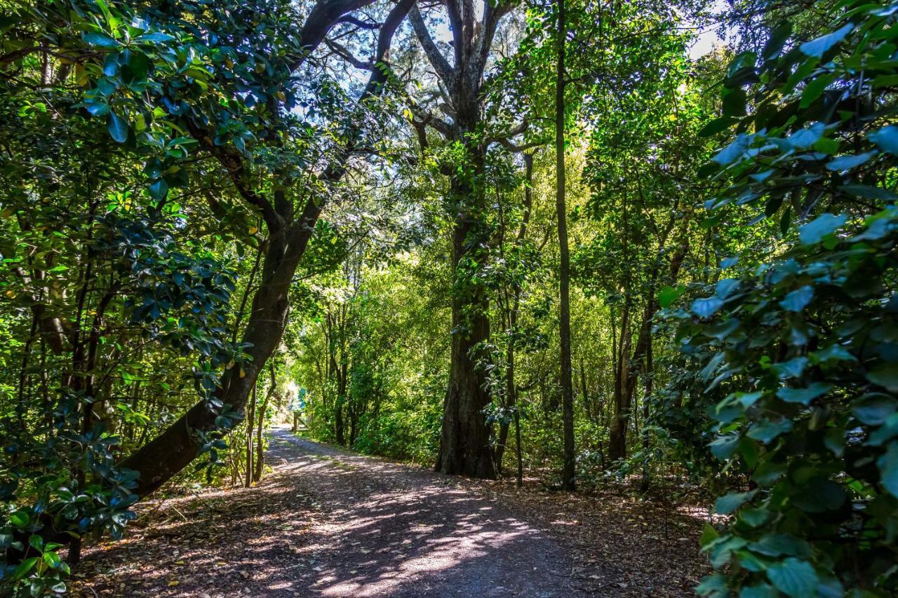 Pirinoa The Forest House מראה חיצוני תמונה